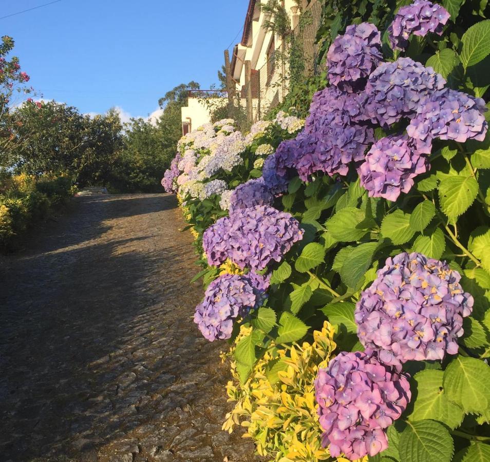 Villa Bouro - Breathtaking Scenery Near Geres แตร์ฮัส เจ บอว์โร ภายนอก รูปภาพ